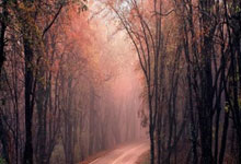 记者：续租+升级强制买断，伊镇向那不勒斯报价卡尤斯特