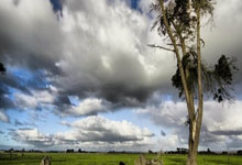 记者：续租+升级强制买断，伊镇向那不勒斯报价卡尤斯特