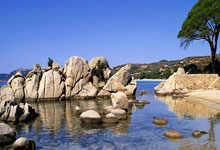 记者：续租+升级强制买断，伊镇向那不勒斯报价卡尤斯特