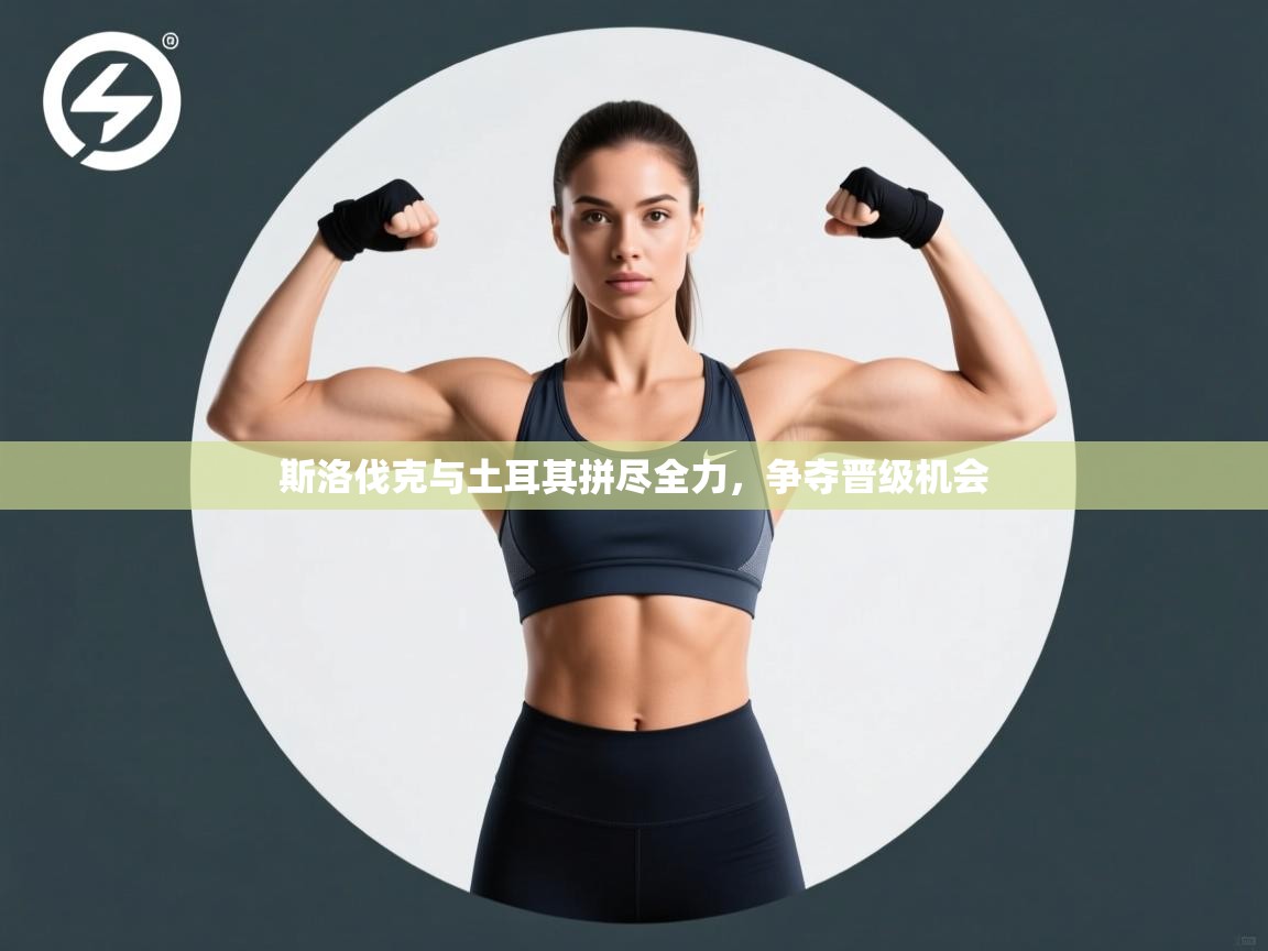 斯洛伐克与土耳其拼尽全力，争夺晋级机会  第1张