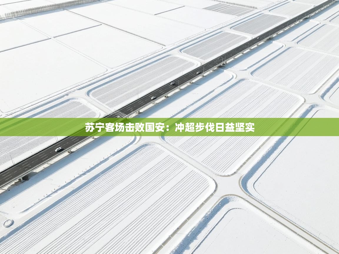 苏宁客场击败国安:冲超步伐日益坚实 第1张