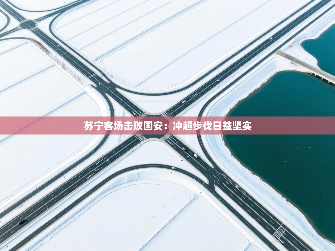 苏宁客场击败国安:冲超步伐日益坚实 第2张