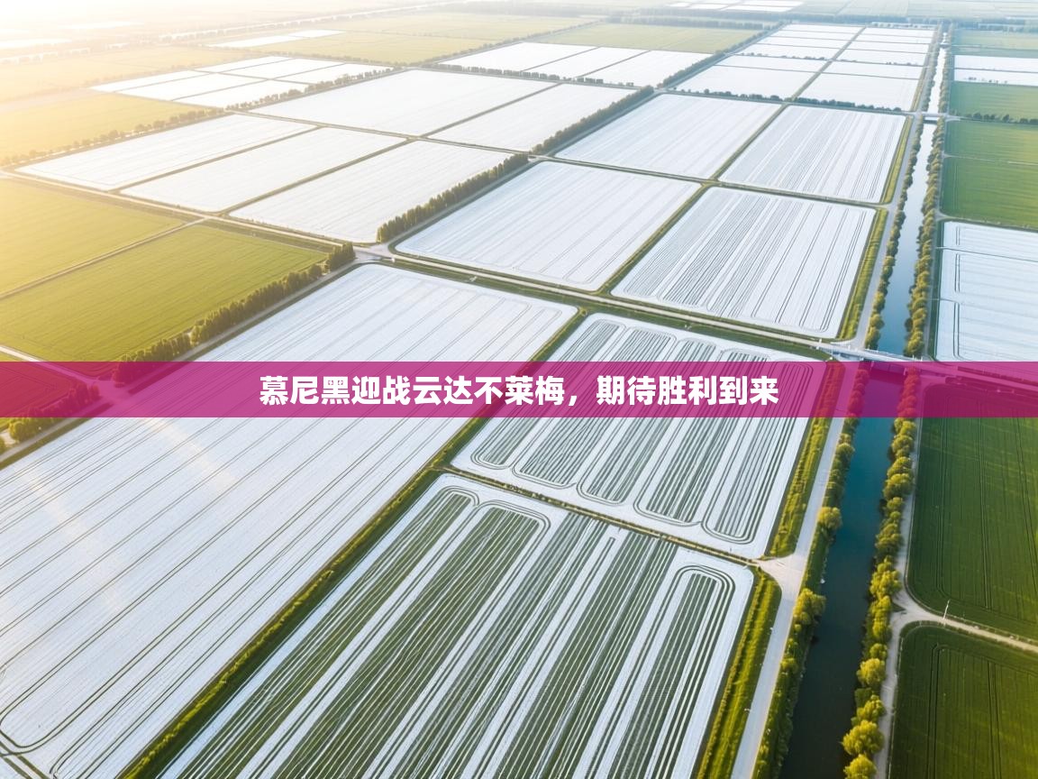 慕尼黑迎战云达不莱梅,期待胜利到来