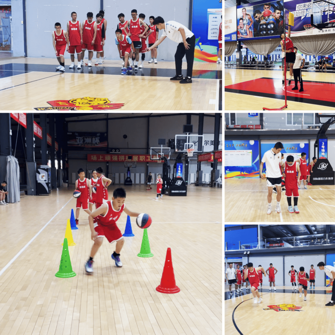 中国篮球协会设立青少年培训营，培养新人